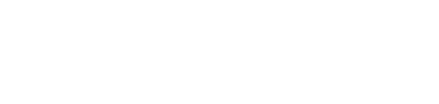 Brand 9 Logo